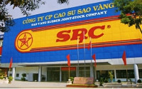 Vì sao đất vàng Cao su Sao Vàng bị 