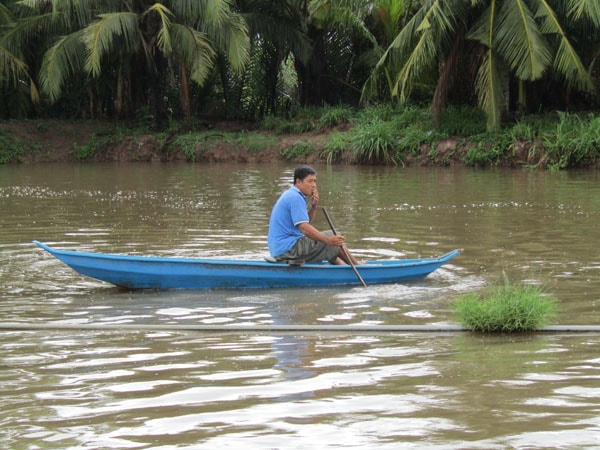 Anh Lâm Thành Lâm đang bơi xuồng kiểm tra ao nuôi cá bông lau.
