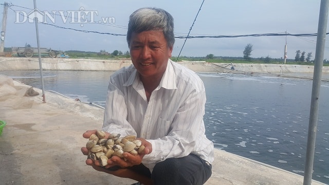 Nhờ nuôi ngao sinh sản mà mỗi năm gia đình ông Vũ Ngọc Dương ở thôn Đồng Châu, bỏ túi gần 1 tỷ đồng. Ảnh: Phạm Quân.