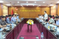 Thái Bình sắp có nhà máy điện gió trị giá hơn 55,7 triệu USD?