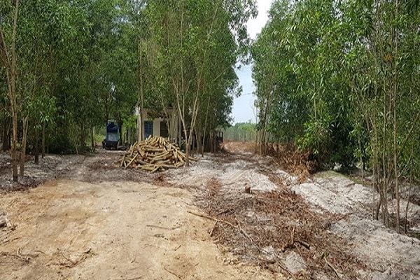 Trên thực tế dự án 