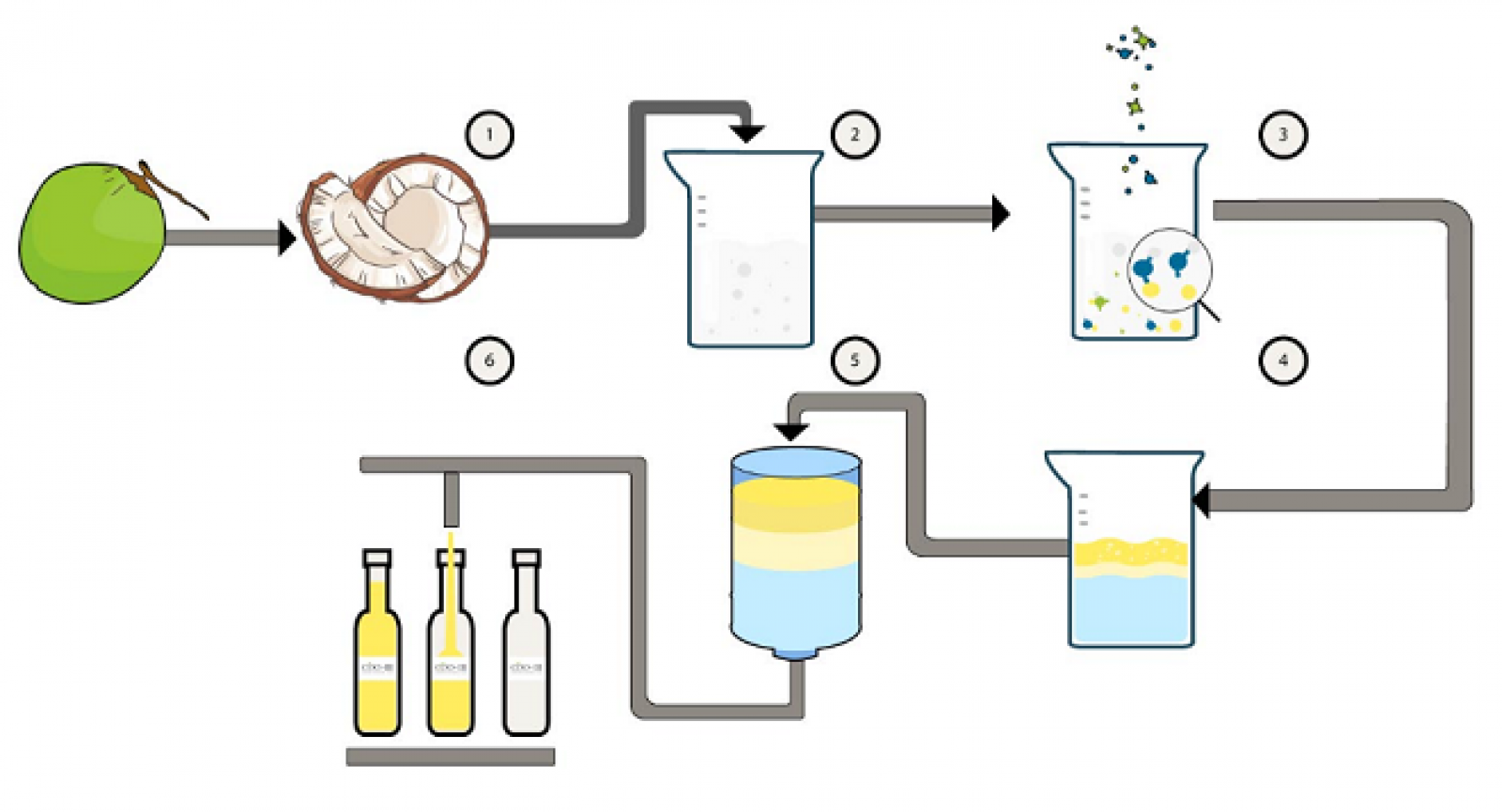 Quy trình công nghệ sản xuất dầu dừa hoạt hóa: tách cơm dừa - thu dịch sữa dừa - thủy phân dịch sữa dừa bằng enzyme - phân tách lớp dầu - lọc dầu dừa - chiết chai. Ảnh: Wealthdragon.vn