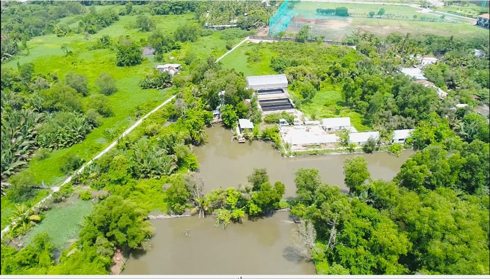 Bên cạnh dự án mô hình trồng rau khí canh, Nông Trại Xanh còn có các dịch vụ về du lịch trải nghiệm