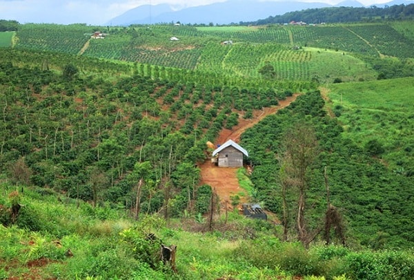 Đắk Lắk tăng cường thanh tra quy hoạch, quản lý sử dụng đất đai