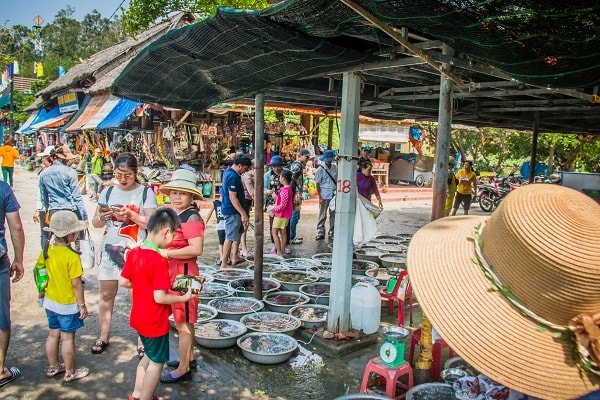 Hiện nay nhìn chung tình hình phát triển du lịch ở đảo Cù Lao Chàm đang ở mức ổn, nhưng nếu xét về bên trong giữa các DN với nhau thì thực sự chưa được tốt.