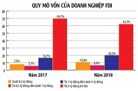 Chặn dòng FDI nhỏ lẻ