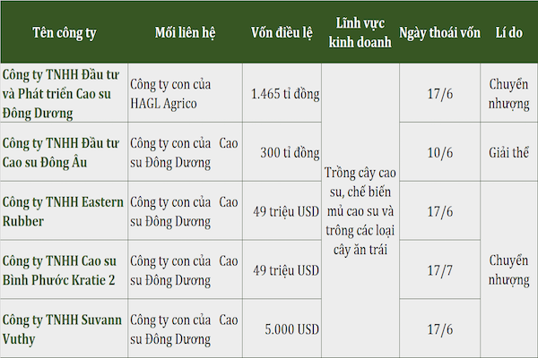 Danh sách các công ty đã được HAGL thoái vốn trong nửa đầu năm. Nguồn: HAGL, ST tổng hợp