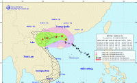 Bão số 3 sẽ đổ bộ vào Quảng Ninh đến Thái Bình từ chiều 2/8