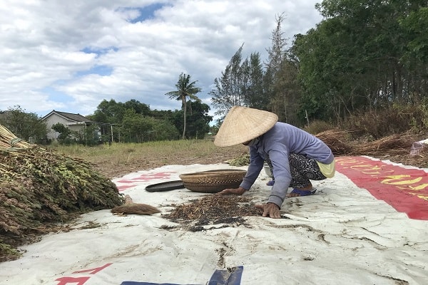 Việc giải quyết việc làm cho người lao động sau khi giải tỏa hiện nay vẫn còn là một bài toán khó đối với doanh nghiệp cũng như chính quyền địa phương.