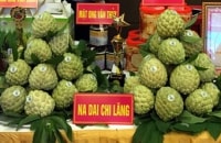 11/8: Ngày hội Na Chi Lăng năm 2019