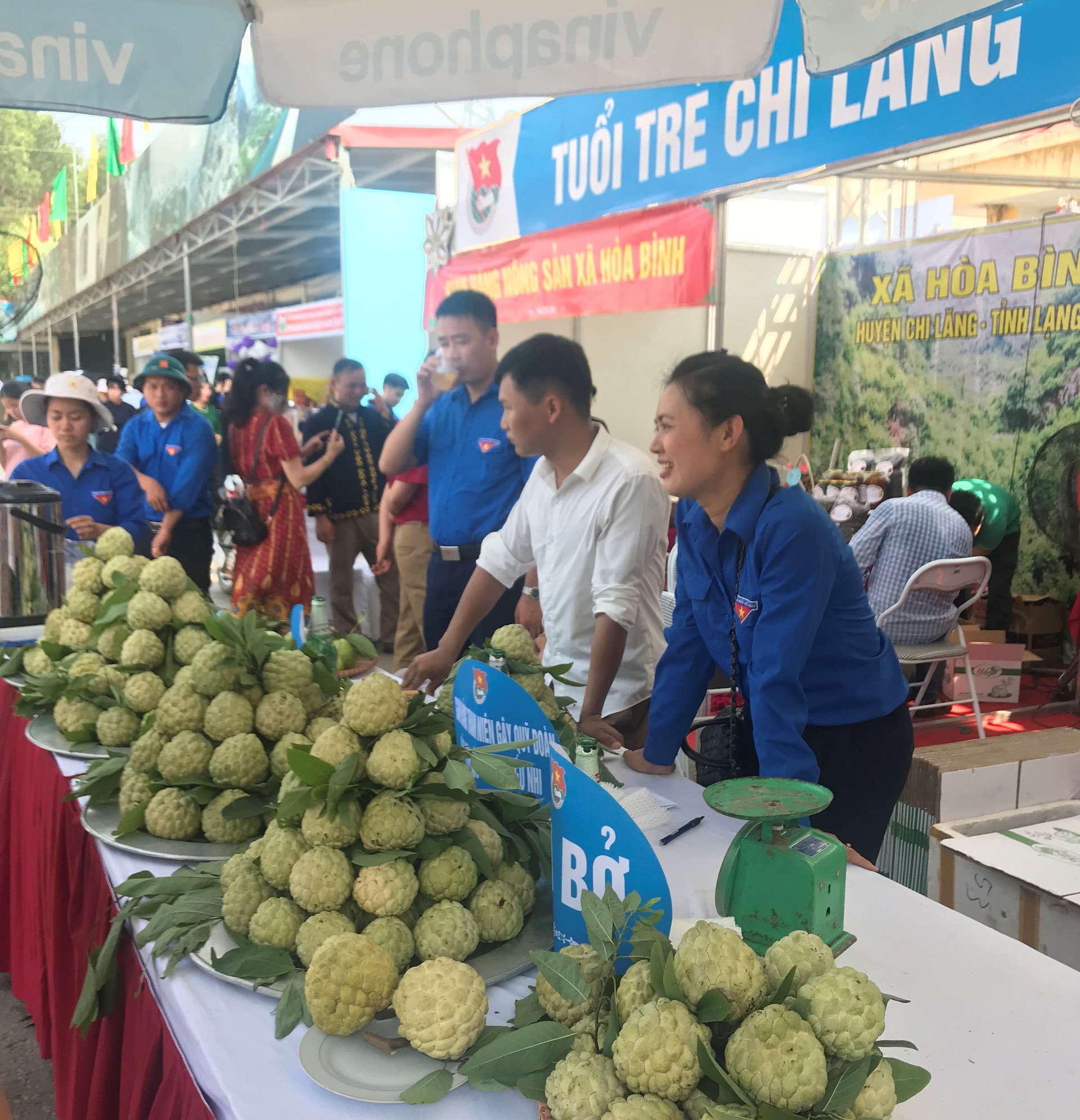 Mỗi gian hàng được mang đến bởi những người khác nhau nhưng đều có những quả na to, đẹp và tươi ngon giống nhau