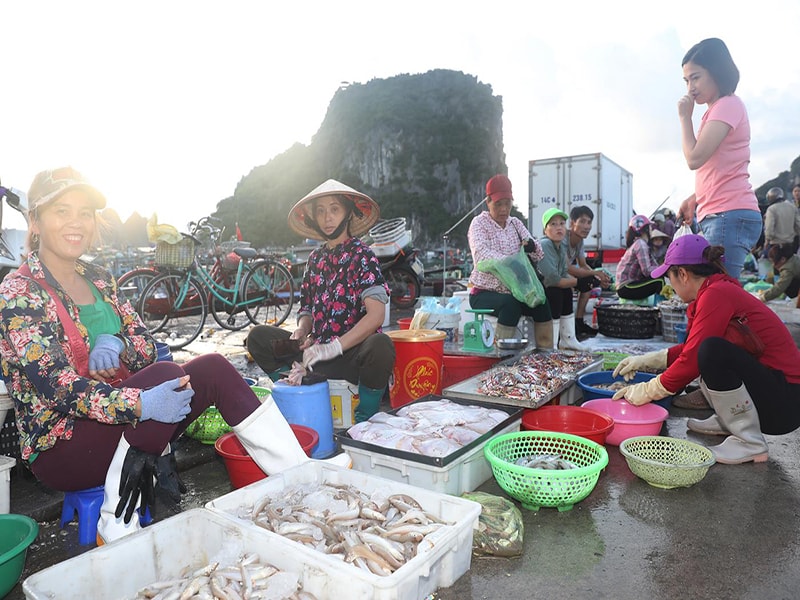 Không chỉ hấp dẫn với hàng trăm hòn đảo lớn nhỏ còn hoang sơ tại vịnh Bái Tử Long, trong đó hút khách nhất là đảo Quan Lạn, Ngọc Vừng... mà dân 