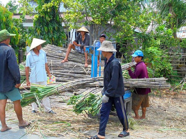 Cả nước hiện tồn kho khoảng 650.000 tấn đường.