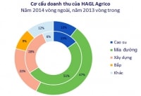 HNG: Sức hút lớn từ quỹ đất