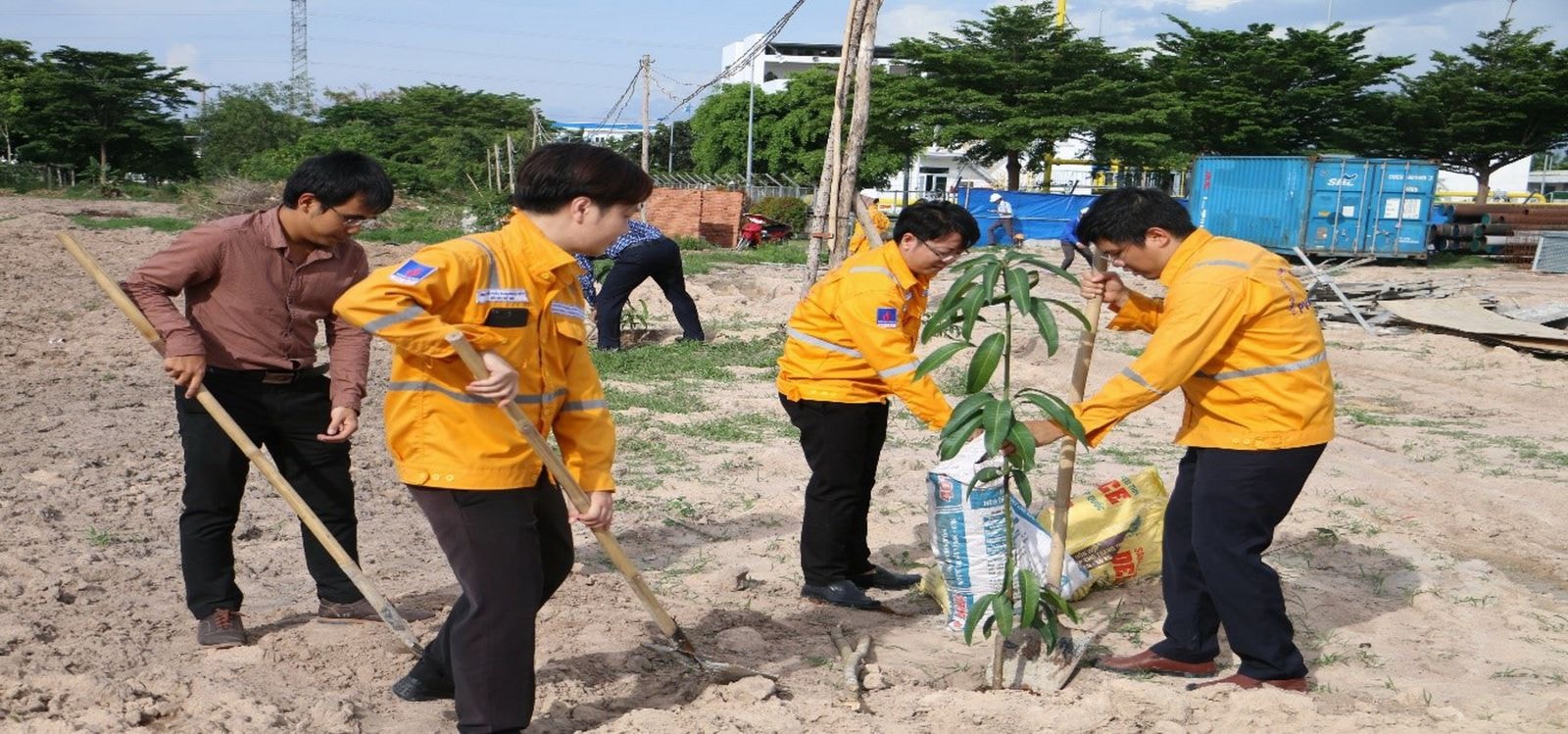 trồng cây xanh