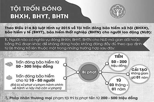 p/Người lao động sẽ được bảo vệ tốt hơn khi xử lý hình sự cá nhân gian lận BHXH