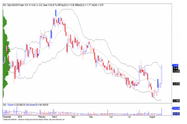Diễn biến giá cổ phiếu của DIG