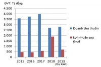 Rủi ro đầu tư cảng nước sâu của GMD