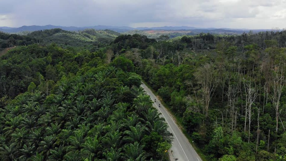 Bukit Soeharto, một khu vực có rừng giữa các huyện Penajam Paser Utara và Kutai Kartanegara, ở tỉnh Đông Kalimantan, sẽ là trung tâm của thủ đô mới của Indonesia.