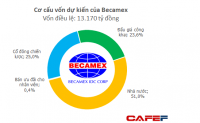 Vì sao Becamex IDC ế nặng?