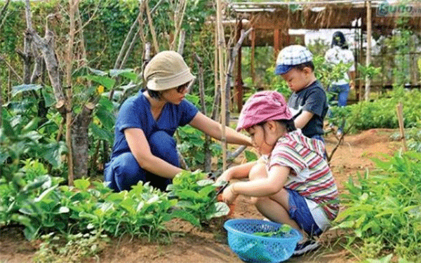 Khởi nghiệp thành công nhờ ý tưởng làm giàu từ nông nghiệp