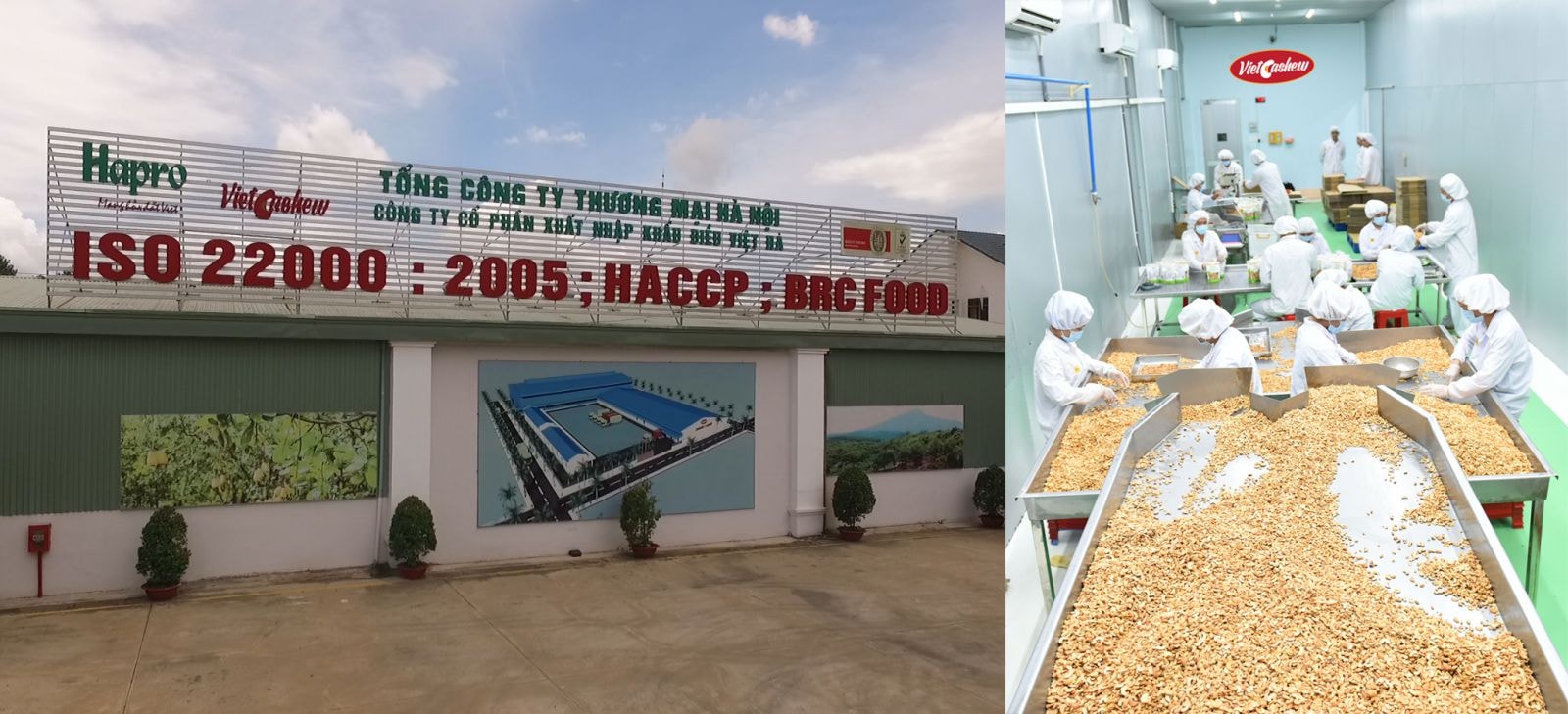 Hapro luôn chú trọng tới công tác đầu tư để phục vụ hoạt động xuất khẩu