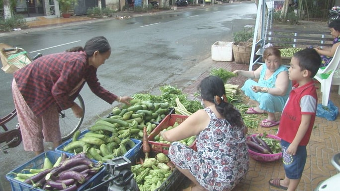 Những người nghèo đến lựa chọn rau, củ miễn phí mang về