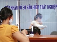 Chế tài mạnh với trục lợi bảo hiểm thất nghiệp