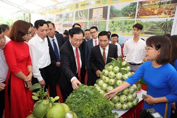 Ngoài chè thì rau củ quả là những mặt hàng quan trọng trong chuỗi nông sản của Thái Nguyên. Ảnh: Thành Chung