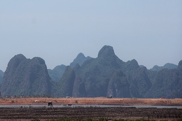 p/Một quả đổi đã từng được ví như lá phối xanh của phường Bãi Cháy, Hạ Long bị cạo trọc nhường chỗ cho dự án ì ạchp/577.