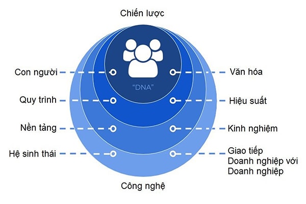 p/Sơ đồ các lớp về chuyển đổi số.