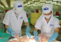 Thần may mắn đã “mỉm cười” với thủy sản Hùng Vương?