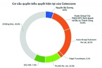 Lối thoát cho Coteccons?