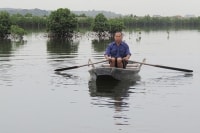 Hạ Long (Quảng Ninh): Tiếng kêu cứu từ rừng ngập mặn