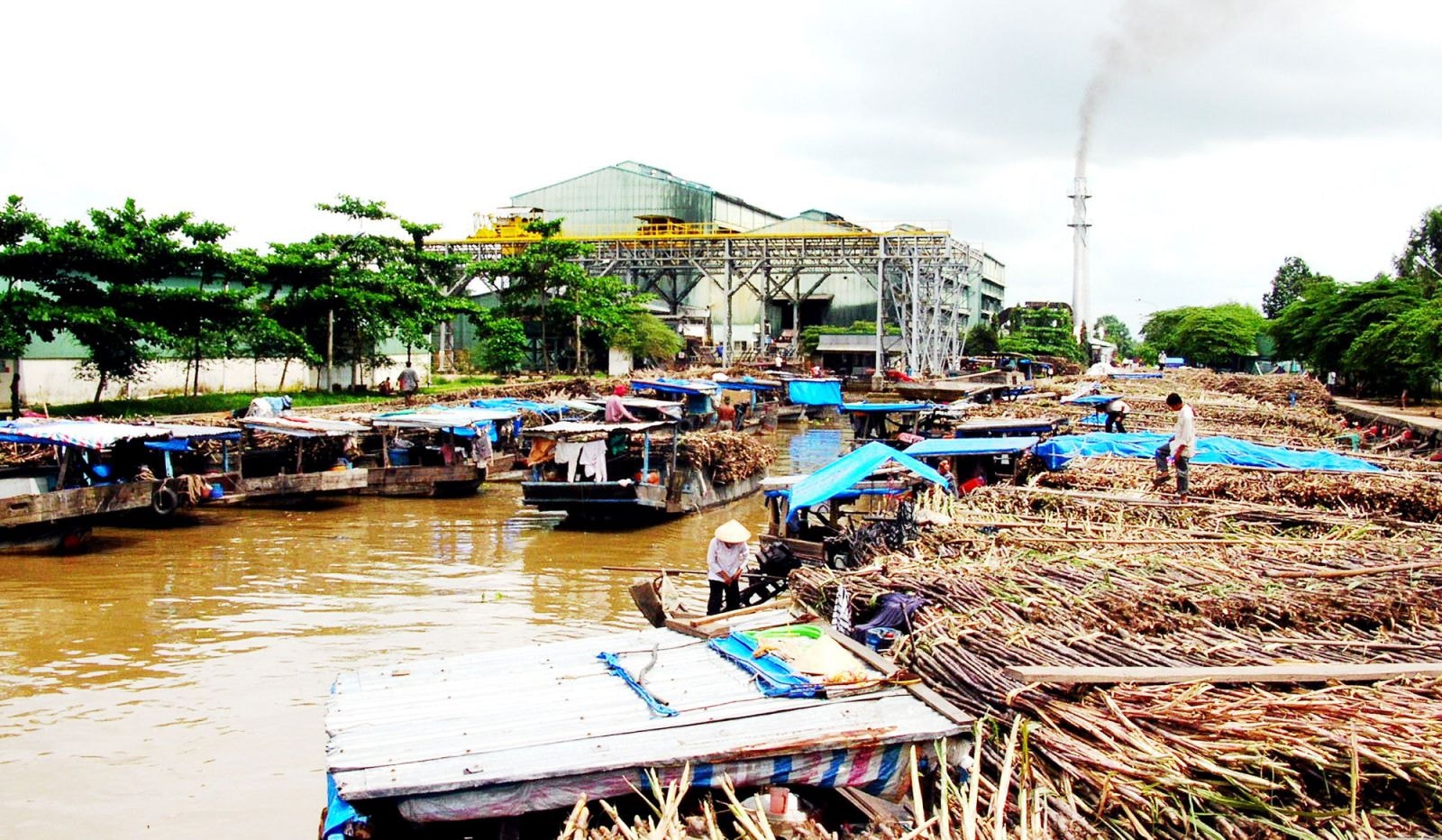 Ảnh minh họa: SGGP