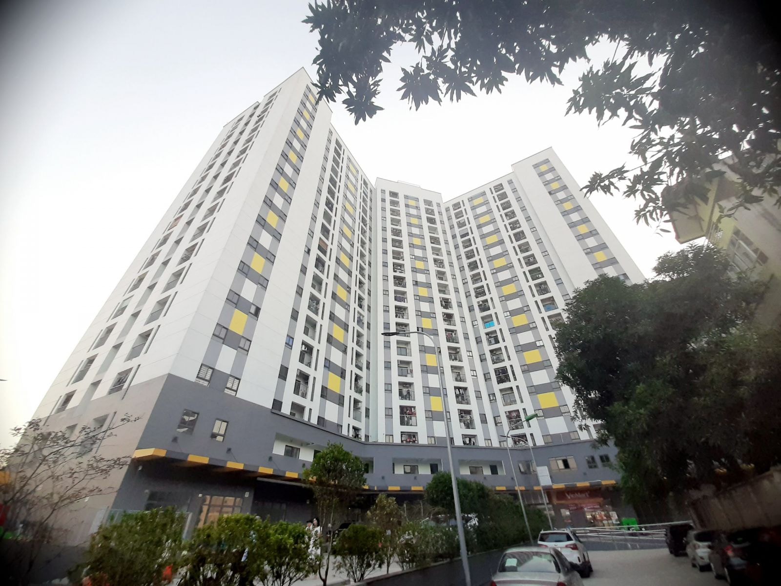 dự án Nhà ở xã hội Rice City Sông Hồng