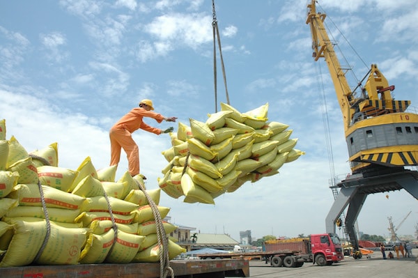 Tính chung 10 tháng, kim ngạch xuất khẩu hàng hóa đạt 13,4 tỷ USD, tăng 16,1% so với cùng kỳ năm 2018, trong đó: khu vực kinh tế trong nước ước tính đạt 7.906 triệu USD, tăng 26,5%; khu vực có vốn đầu tư trực tiếp nước ngoài đạt 5.516 triệu USD, tăng 3,8%... Bên cạnh những mặt hàng có giá trị xuất khẩu tăng cao so với cùng kỳ, 10 tháng qua vẫn còn một số mặt hàng xuất khẩu tiếp tục gặp khó khăn như: Hàng nông sản giảm 22,4%; xăng dầu giảm 6,4%.