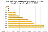 Chia cổ tức ngân hàng - Người mừng, kẻ tức