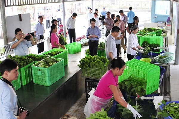 Sản phẩm nông nghiệp sẽ được hỗ trợ liên kết trong sản xuất và tiêu thụ sản phẩm