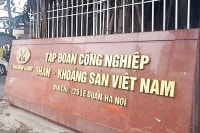 TKV sẽ thu được bao nhiêu tiền từ thoái vốn khỏi hai công ty con?