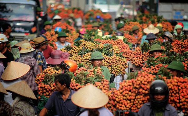 Việt Nam là nước xuất khẩu trái cây lớn nhất vào Trung Quốc, năm 2018 chiếm 25,32% thị phần