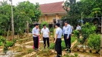 Nghệ An: Đẩy mạnh phát triển kinh tế từ vườn chuẩn nông thôn mới