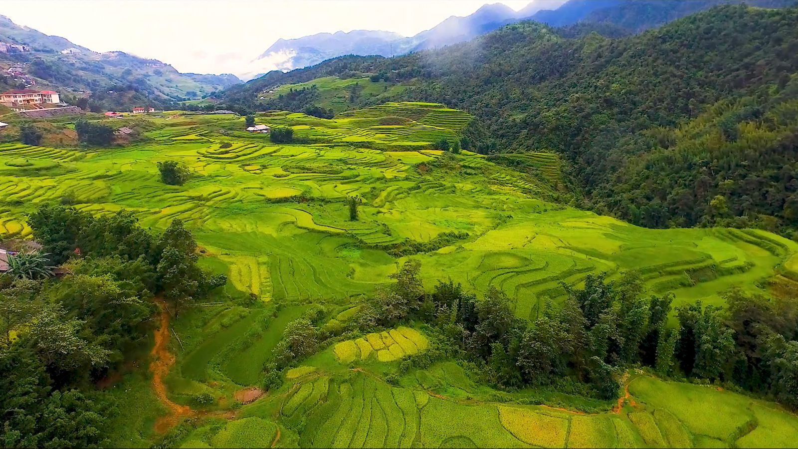 Vẻ đẹp Hoàng Liên Sơn 