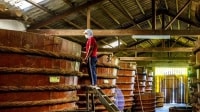 Chính phủ kiến tạo và “rào” “tham nhũng vặt”
