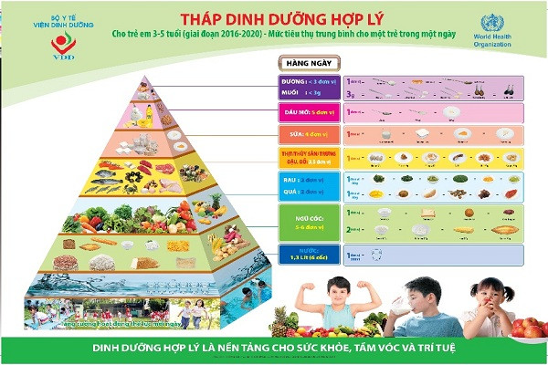 Sữa và sản phẩm từ sữa là một thực phẩm có mặt trong tháp dinh dưỡng hợp lý do Viện dinh dưỡng khuyến nghị.