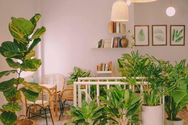 “Tiệm trà của Linh” có gì hấp dẫn ?