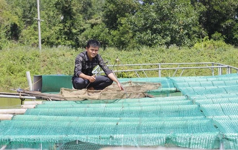 Anh Sang với ao ương cá chình giống của trang trại.