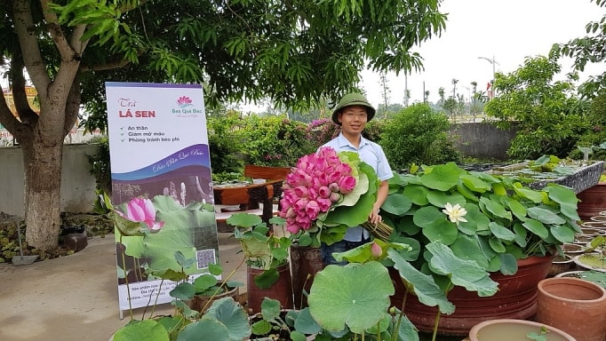 Phạm Kim Tiến say mê nghiên cứu làm ra các sản phẩm từ sen