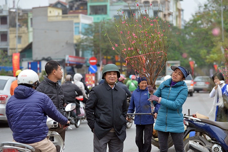 4.Hầu hết người mua vẫn chưa “xuống tiền” vì thấy giá đào vẫn còn cao