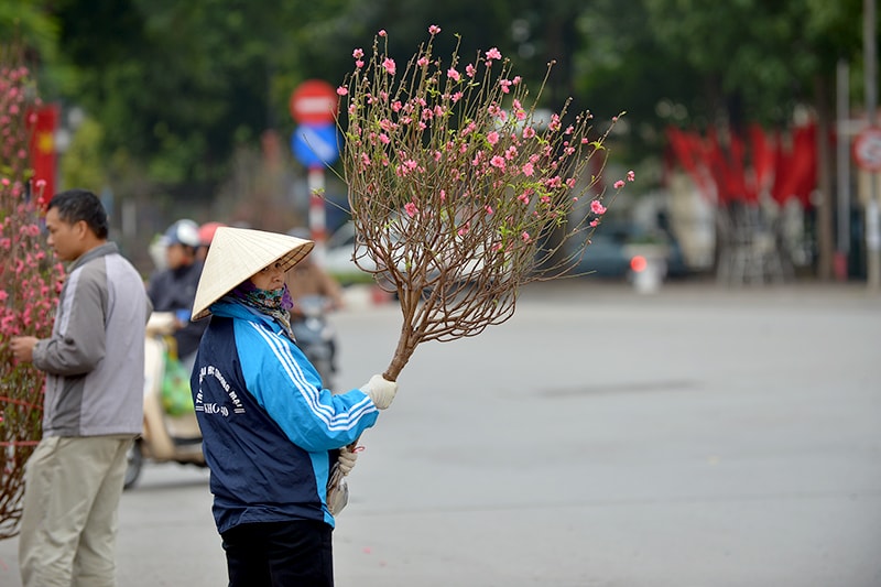 Chỉ có người bán